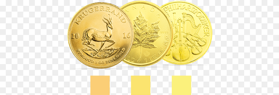 Golden Gates Golden Coins, Gold, Accessories, Pendant, Locket Png Image