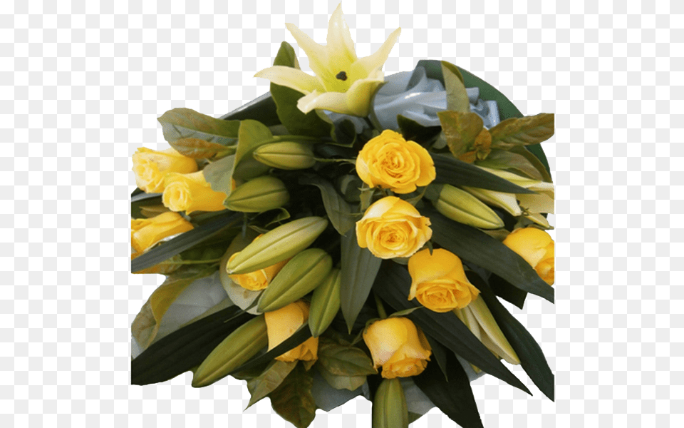 Golden Glow, Flower, Flower Arrangement, Flower Bouquet, Plant Free Transparent Png