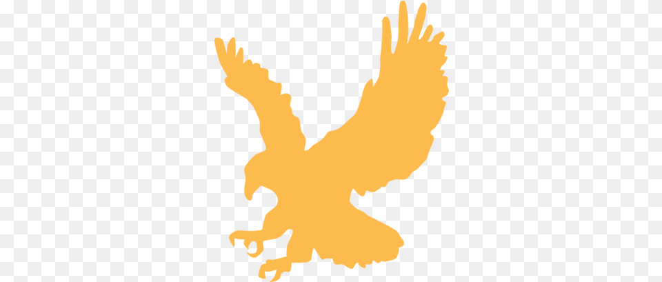 Golden Hawk Fairy Tail Fanon Wiki Fandom Gold Eagle Clip Art, Baby, Person, Animal, Bird Free Transparent Png