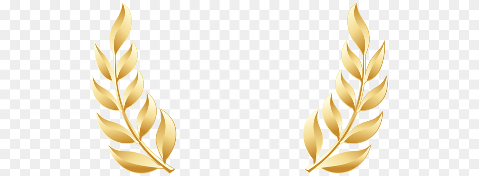 Golden Laurel Leaves Transparent, Gold, Accessories, Jewelry, Necklace Png