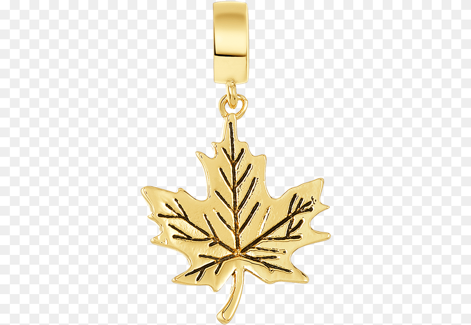 Golden Leaf Charm Maple Leaf, Accessories, Gold, Plant, Chandelier Png