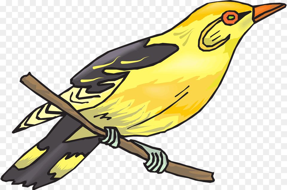 Golden Oriole Clipart, Animal, Bird, Finch, Fish Free Png