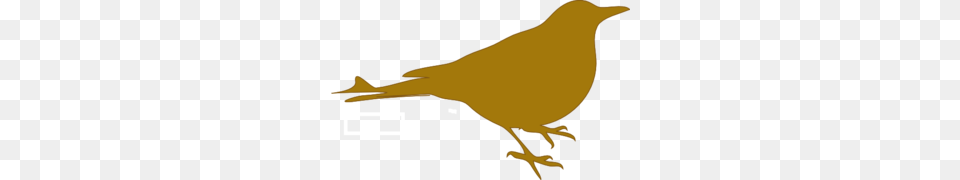 Golden Plover Clip Art For Web, Animal, Bird, Canary Free Png