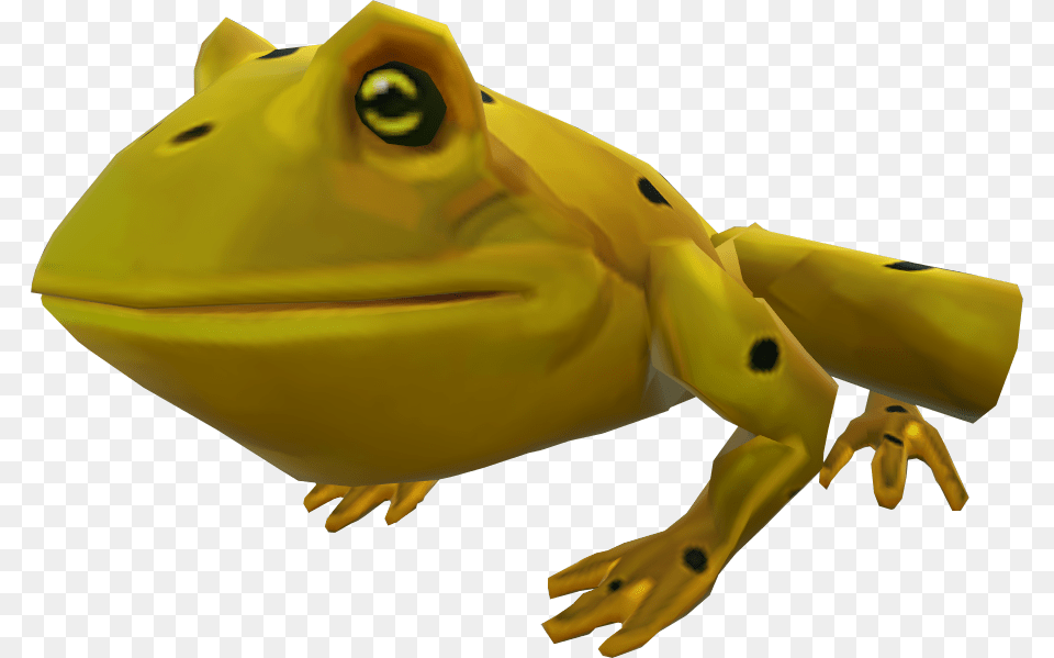 Golden Poison Frog, Amphibian, Animal, Wildlife, Aircraft Png
