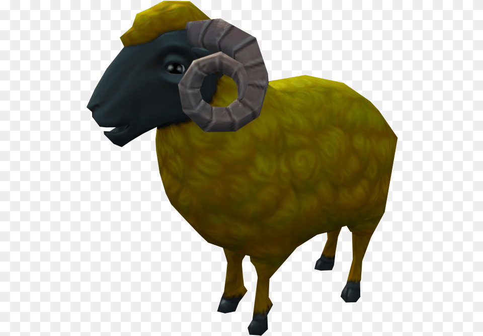 Golden Ram Ram Animal, Livestock, Mammal, Person Free Png