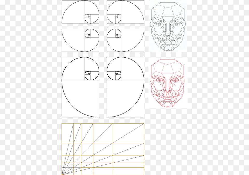 Golden Ratio Face, Art, Drawing, Person, Head Free Png