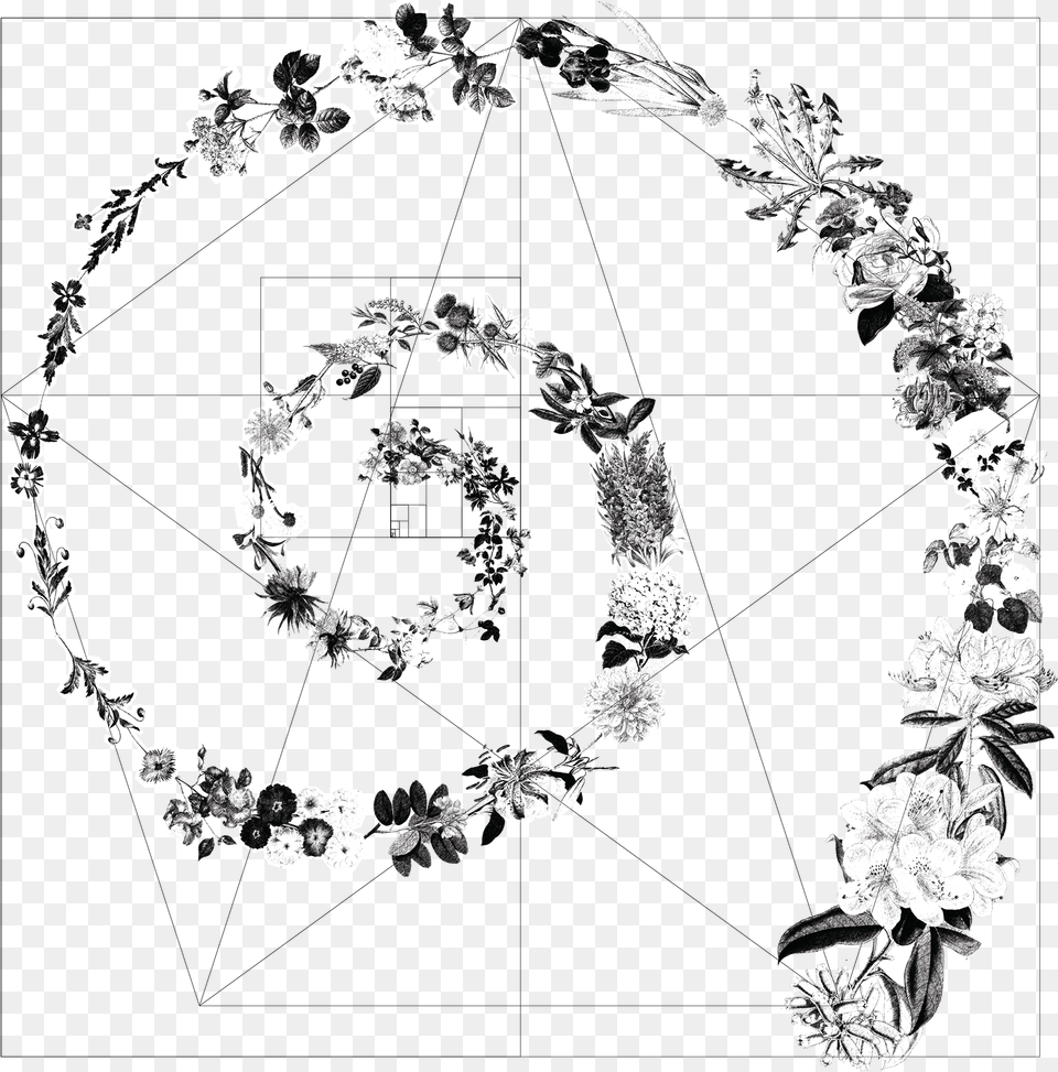 Golden Ratio Gometric Circle, Art, Floral Design, Graphics, Pattern Png