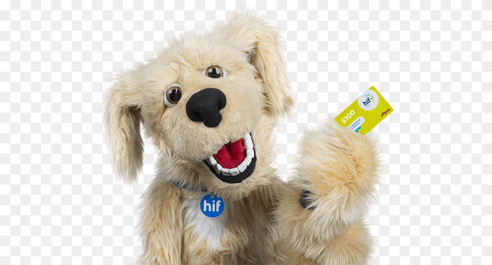 Golden Retriever, Plush, Toy, Teddy Bear Free Png Download