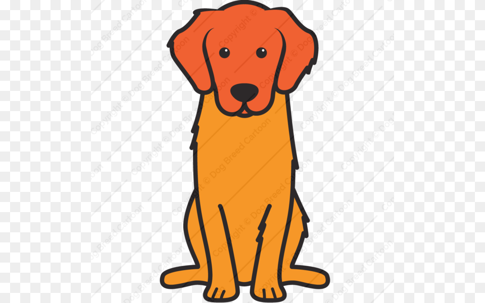 Golden Retriever, Animal, Canine, Mammal, Pet Free Png Download