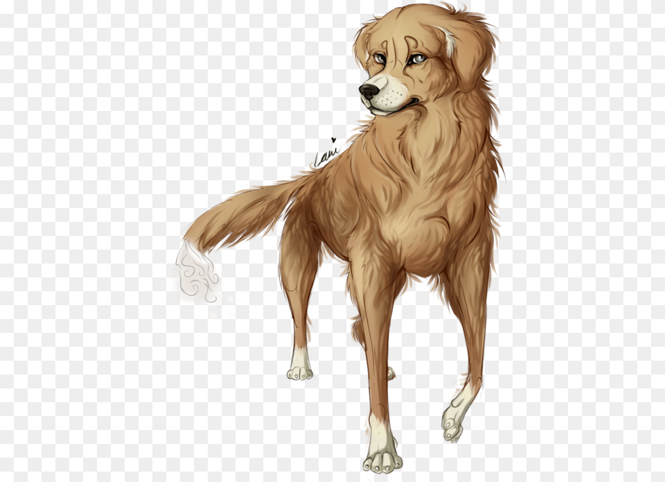 Golden Retriever, Animal, Canine, Dog, Golden Retriever Png Image