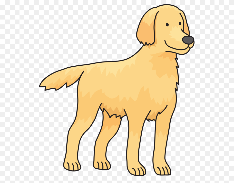Golden Retriever, Animal, Canine, Dog, Golden Retriever Free Png