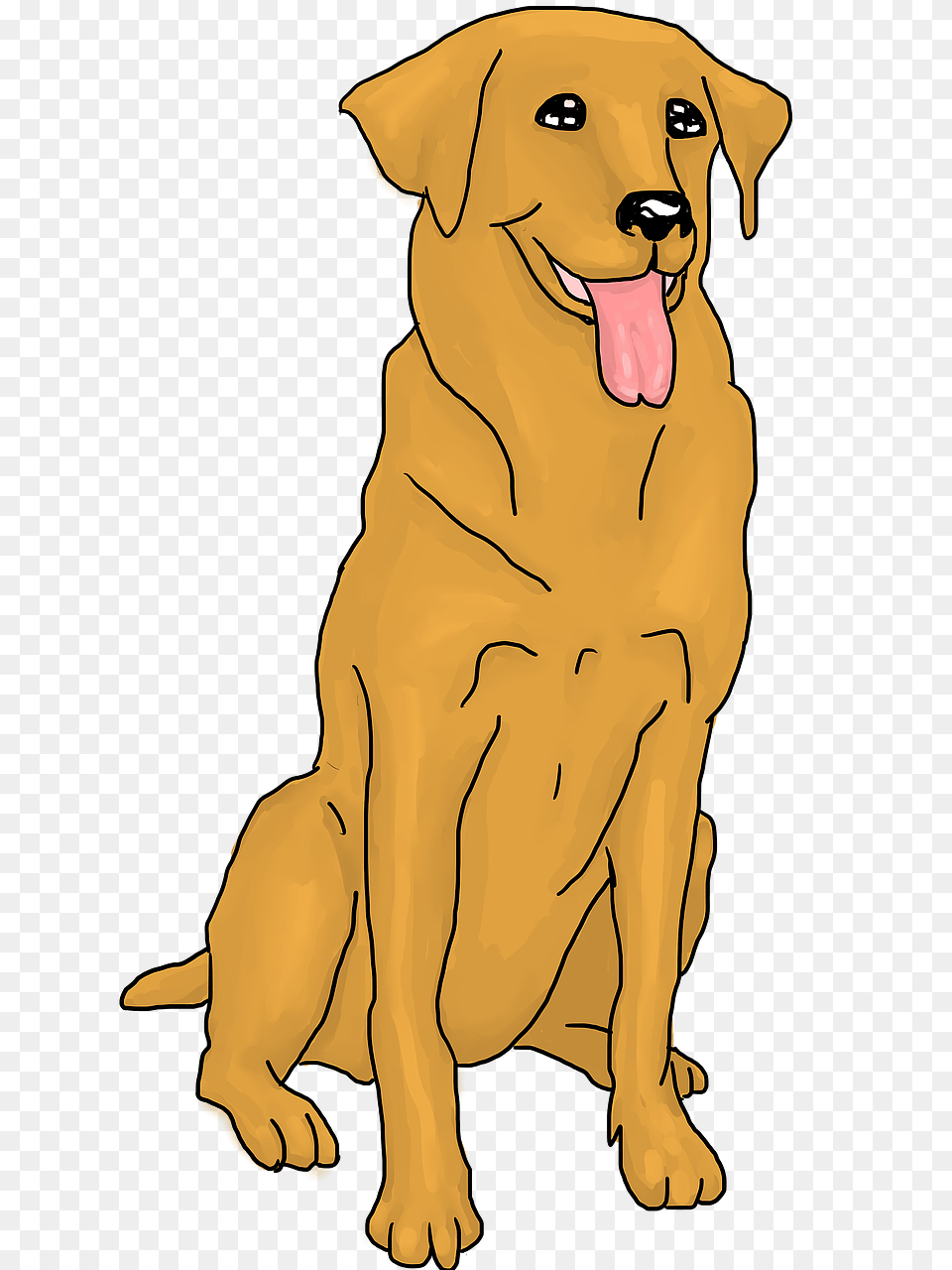 Golden Retriever Clipart, Animal, Canine, Dog, Golden Retriever Png