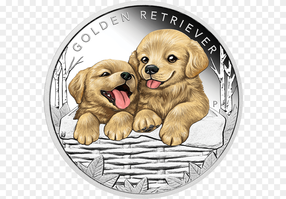 Golden Retriever Coin, Animal, Canine, Dog, Mammal Free Transparent Png