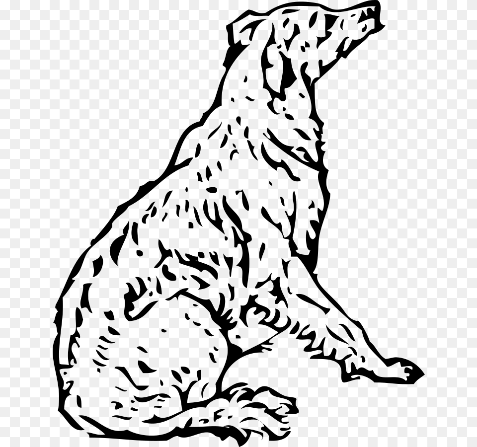 Golden Retriever Coloring Pages, Gray Free Png Download