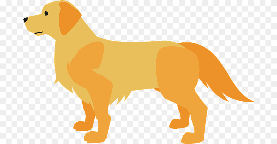 Golden Retriever Dog Animal Clipart, Canine, Golden Retriever, Mammal, Pet Free Png