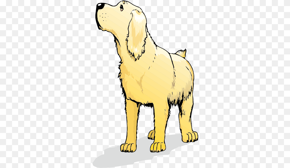 Golden Retriever Labrador Retriever Goldendoodle Labradoodle Lab Cartoon Puppy Golden Retriever, Golden Retriever, Animal, Canine, Dog Png Image