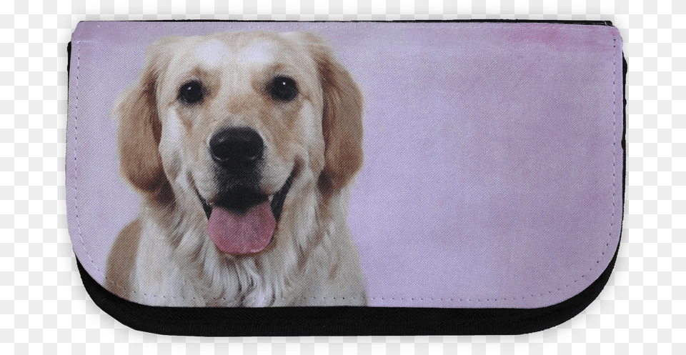 Golden Retriever Pencil Case Dog Yawns, Animal, Canine, Golden Retriever, Mammal Free Transparent Png