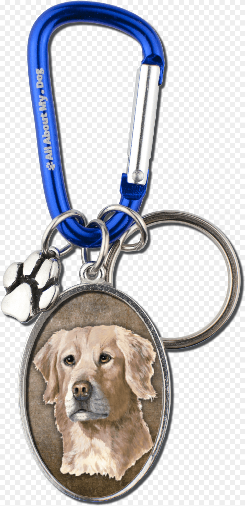 Golden Retriever Portable Network Graphics, Smoke Pipe, Accessories, Animal, Canine Png Image