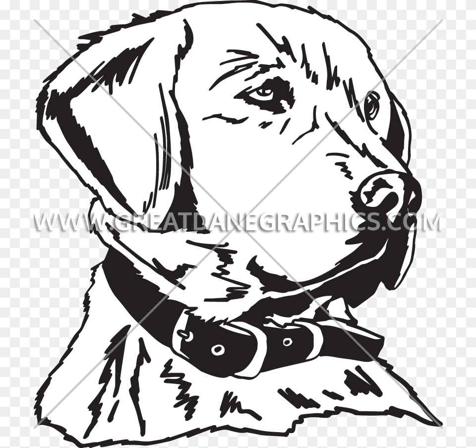 Golden Retriever Production Ready Artwork For T Shirt Printing, Adult, Person, Woman, Female Free Png Download