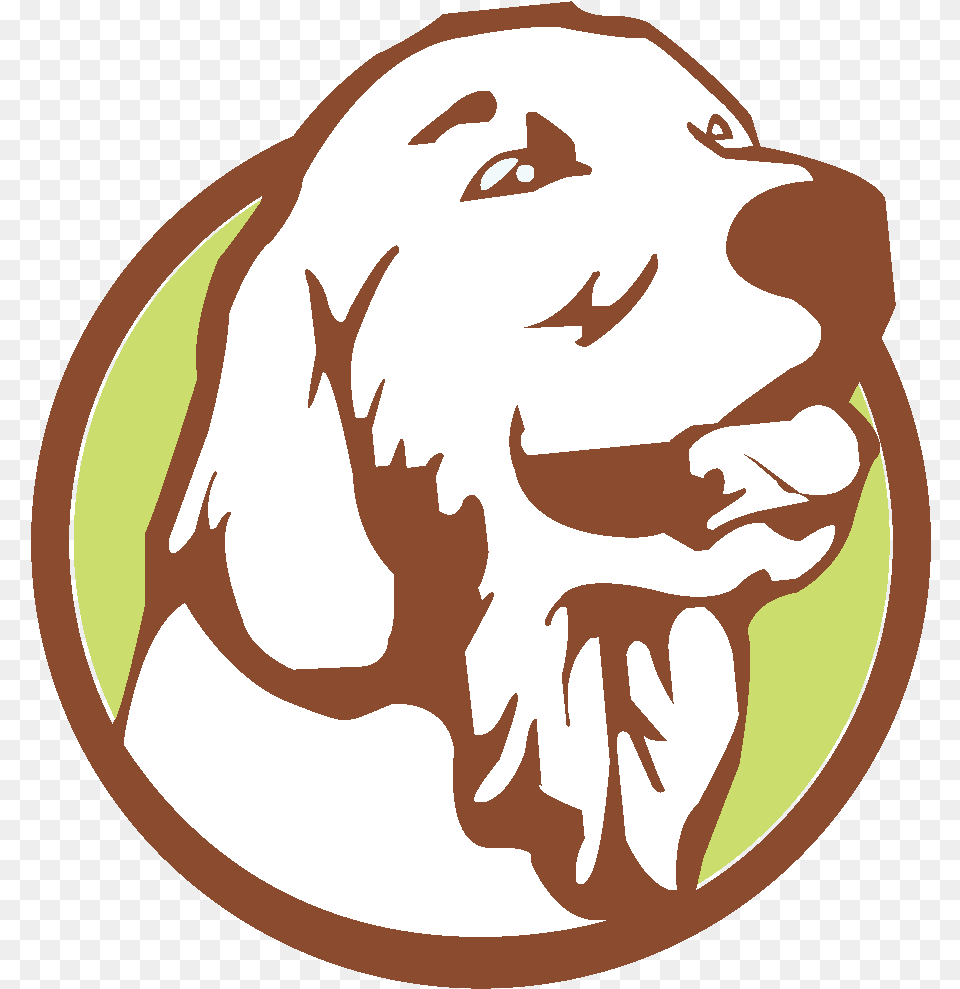 Golden Retriever Pumpkin Stencil, Baby, Person, Face, Head Free Transparent Png