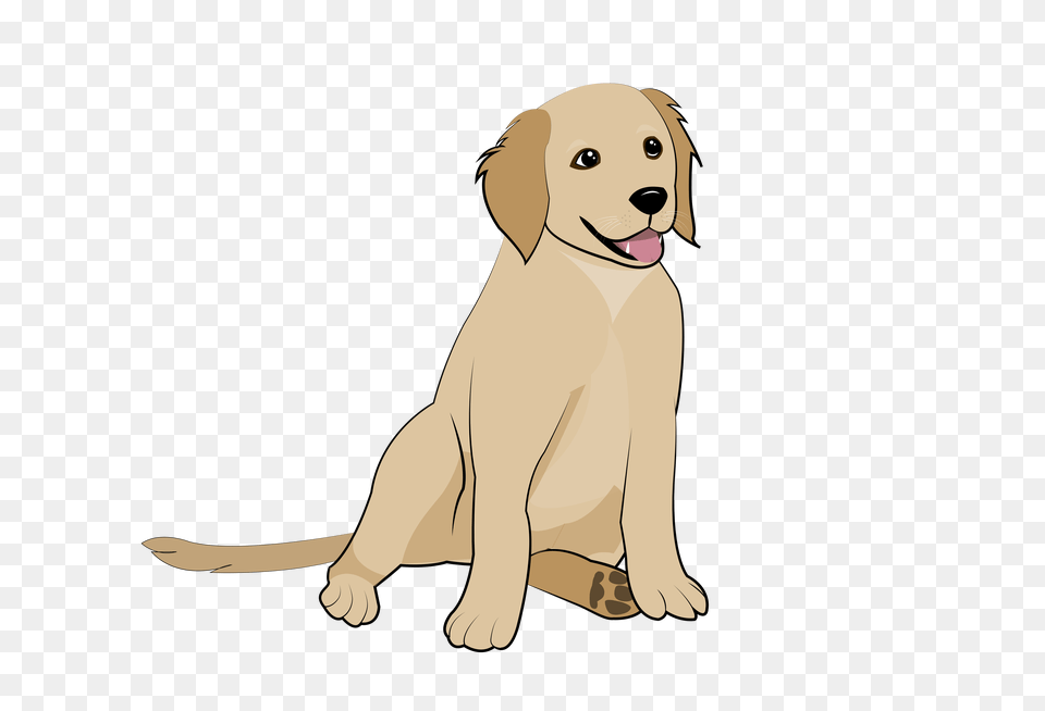 Golden Retriever Puppy, Animal, Canine, Dog, Pet Png
