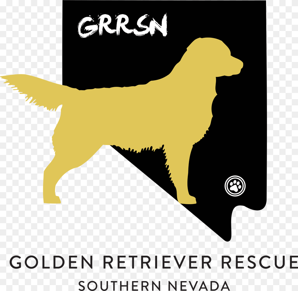 Golden Retriever Rescue Southern Nevadasrc Https, Animal, Canine, Dog, Golden Retriever Png Image