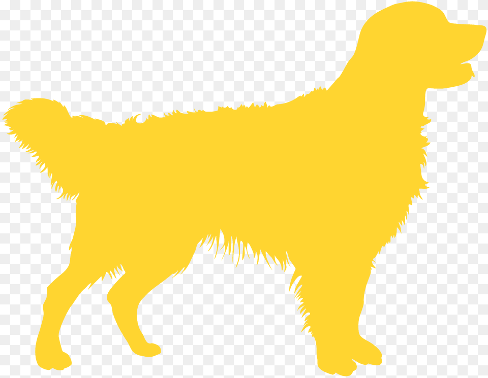 Golden Retriever Silhouette, Animal, Canine, Dog, Golden Retriever Free Png Download