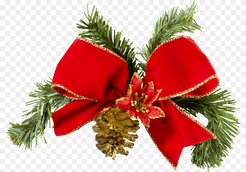 Golden Ribbon Christmas Bow Isolated Christmas Bow, Plant, Tree, Conifer, Accessories Free Transparent Png