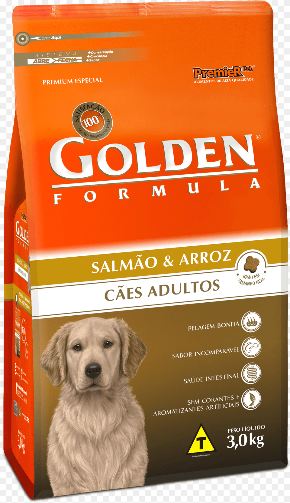 Golden Salmo E Arroz, Animal, Canine, Dog, Mammal Free Transparent Png