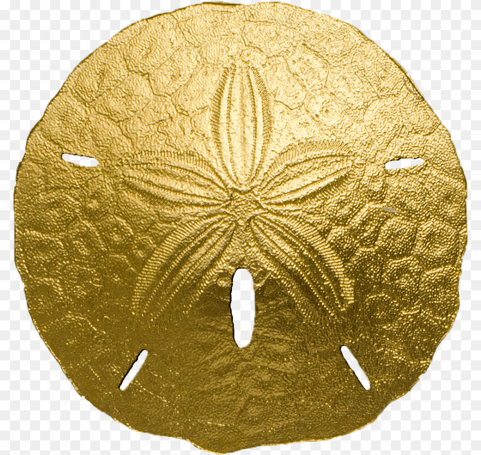 Golden Sand Dollar Gold Sand Dollar, Bronze, Treasure, Face, Head Free Png Download