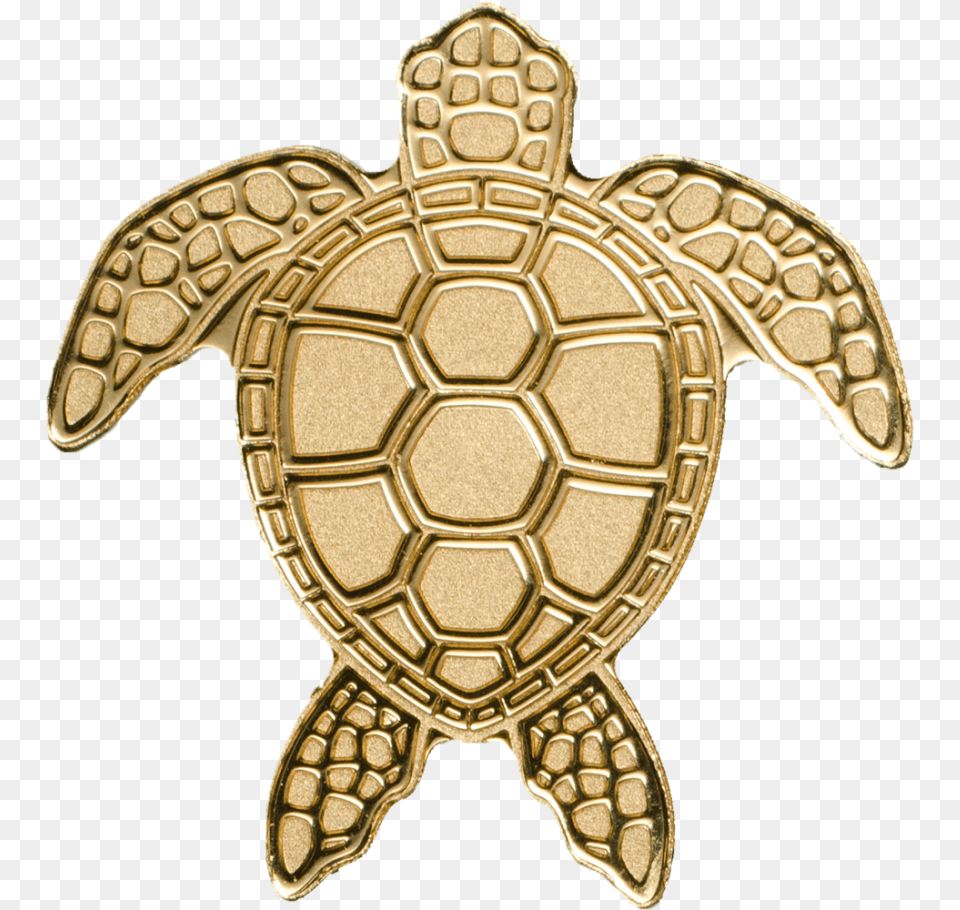 Golden Sea Turtle Gold Turtle, Animal, Reptile, Sea Life, Tortoise Free Transparent Png