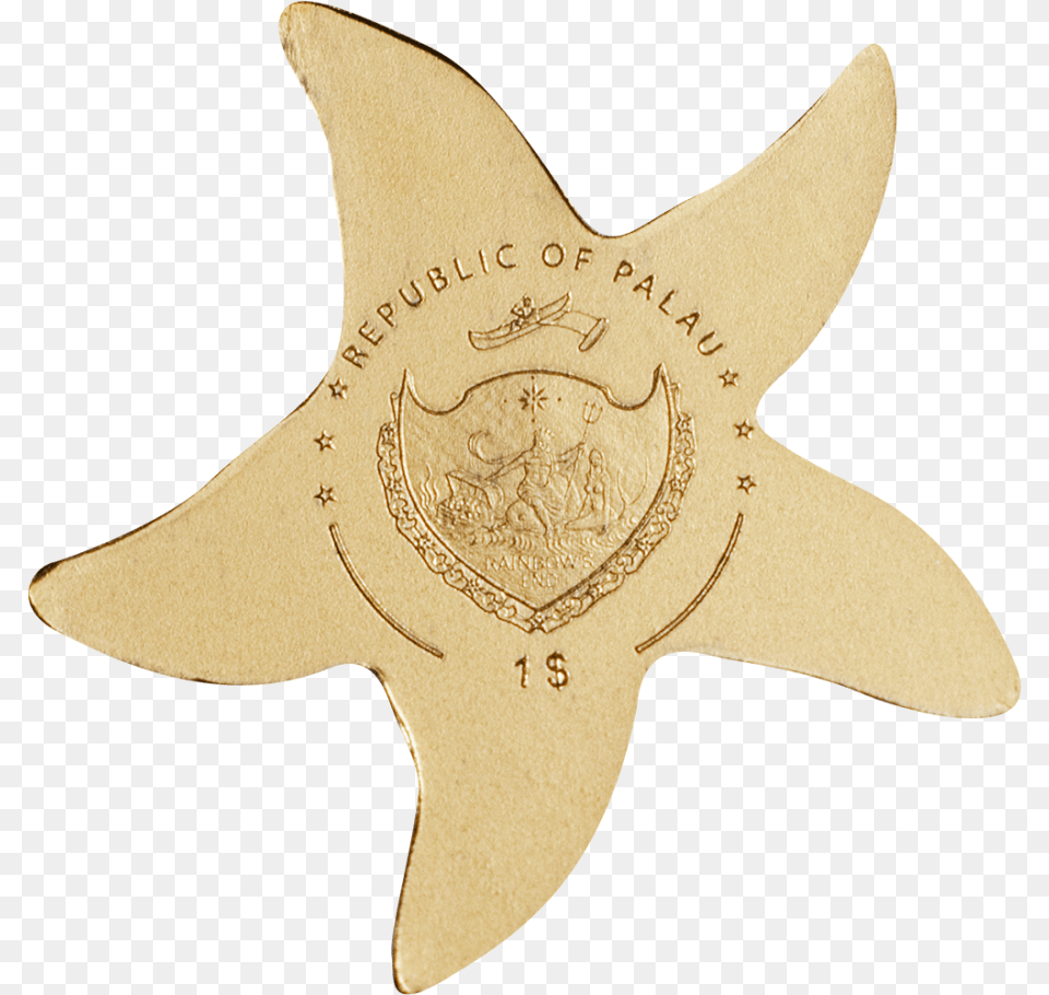 Golden Starfish Stitch, Person, Symbol, Animal, Sea Life Png Image