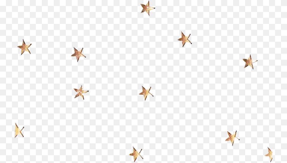 Golden Stars Gold Star Sticker, Star Symbol, Symbol, Animal, Bird Free Png