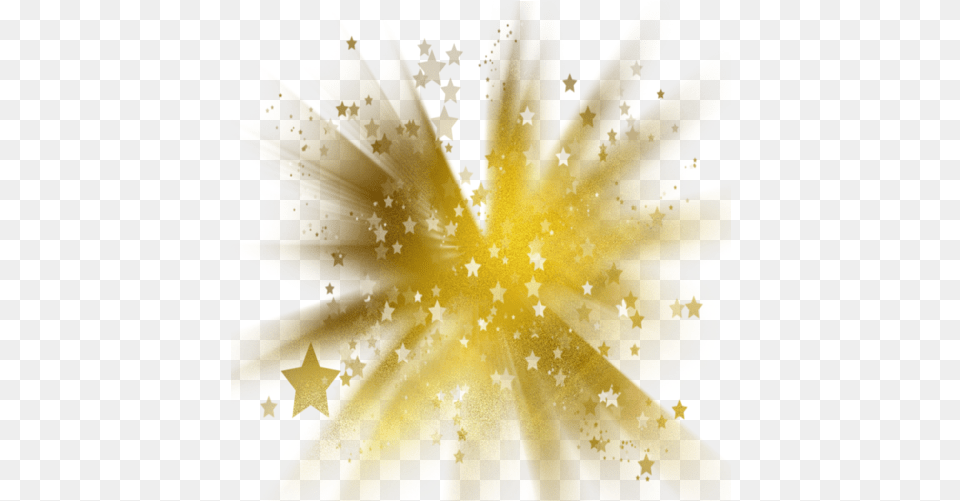 Golden Stars Image With No Toile D Or, Leaf, Plant, Sunlight, Light Free Png