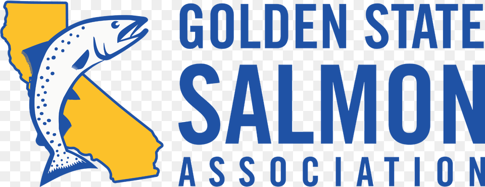 Golden State Salmon Association Mavenu0027s Notebook Water News Vertical, Animal, Sea Life, Fish, Shark Free Png Download