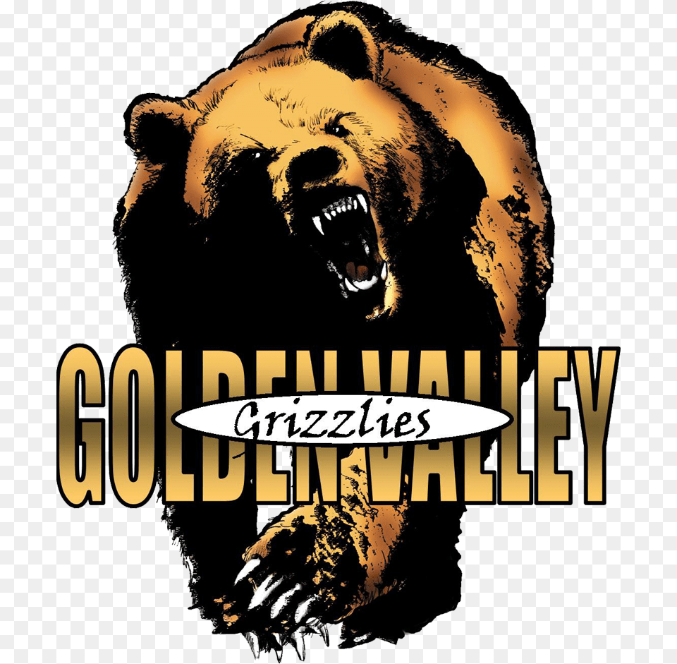 Golden Valley Grizzlies Golden Valley High School Logo, Adult, Person, Man, Male Png Image