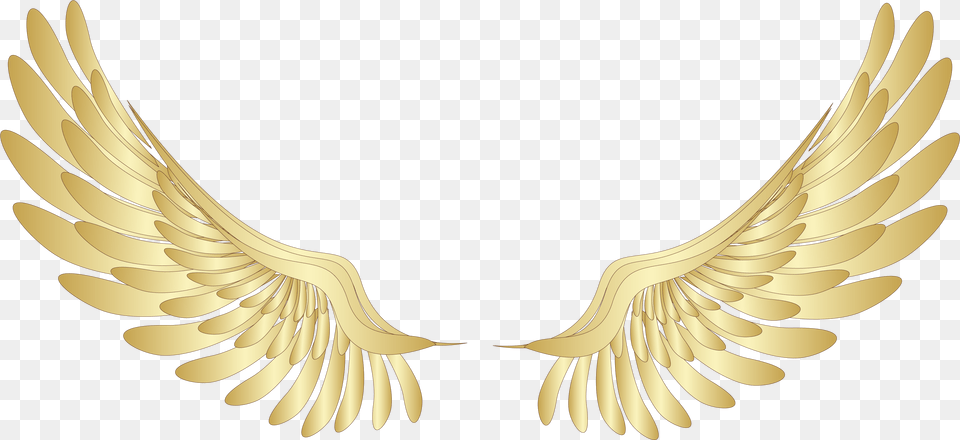 Golden Wings Angel Wings, Accessories, Necklace, Jewelry, Gold Png