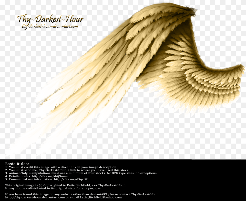 Golden Wings Background, Animal, Bird, Advertisement, Angel Free Png Download