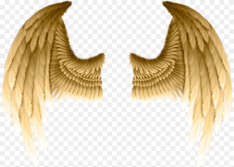Golden Wings Freetoedit Gold Angel Wings, Animal, Bird, Accessories, Night Png
