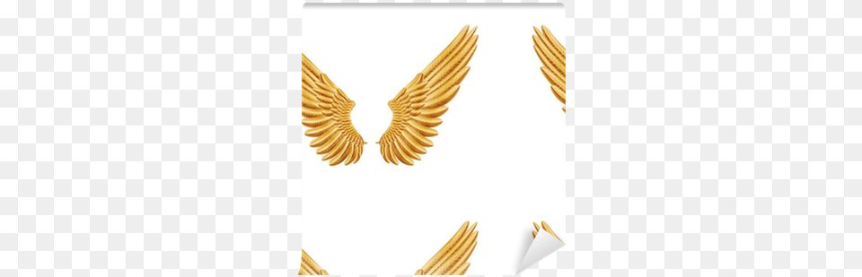 Golden Wings Wallpaper Pixers We Accipitridae, Gold Png