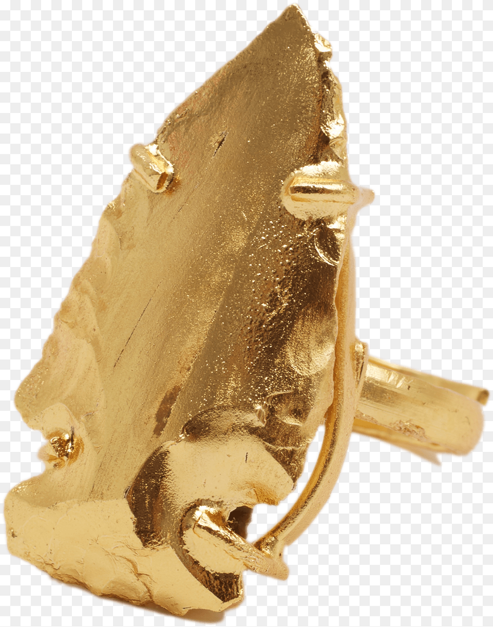 Golden Xena Ringclass Handgun Holster, Bronze, Treasure, Gold, Adult Png