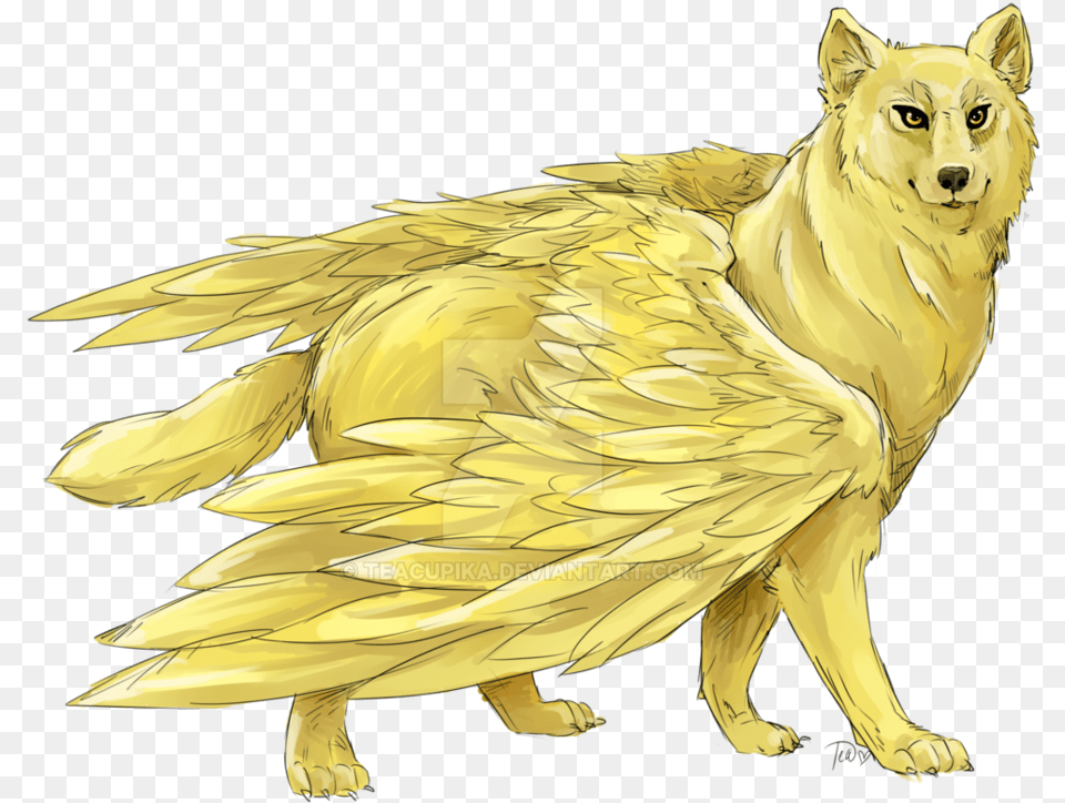 Goldendoodle Golden Retriever African Golden Wolf Drawing Golden Wolf With Wings, Animal, Coyote, Mammal, Canine Free Transparent Png