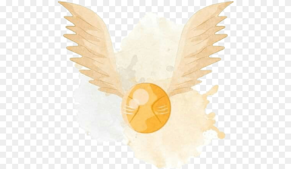 Goldensnitch Quidditch Harrypotter Eagle, Adult, Bride, Female, Person Png Image