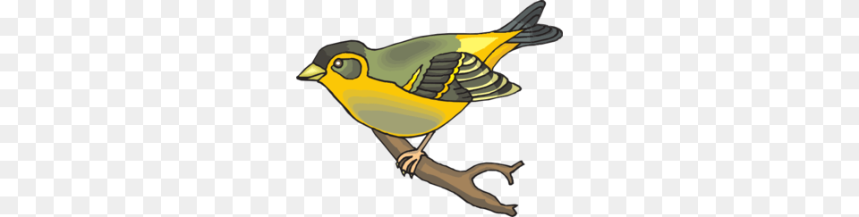 Goldfinch Clip Art For Web, Animal, Bird, Finch, Fish Free Png