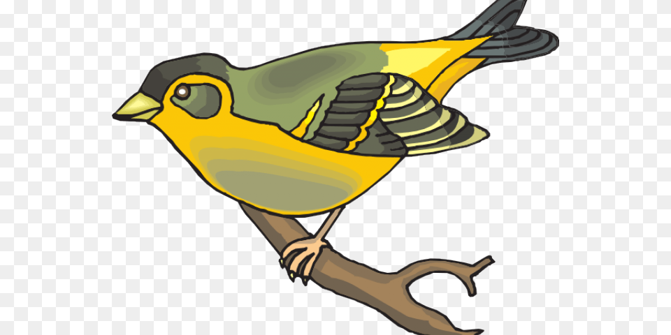 Goldfinch Clipart Gold Bird, Animal, Finch, Fish, Sea Life Free Png Download