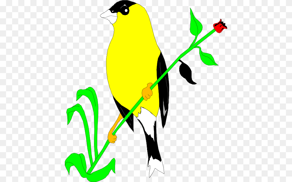 Goldfinch On A Flower Stem Svg Clip Arts, Animal, Bird, Finch, Canary Png Image