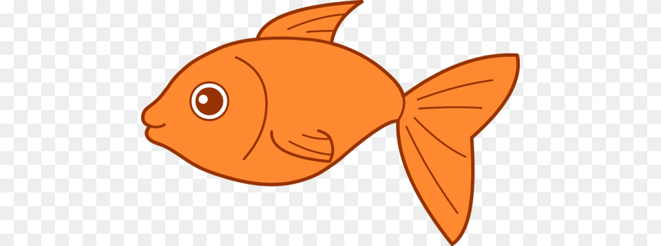 Goldfish, Animal, Sea Life, Fish, Baby Png