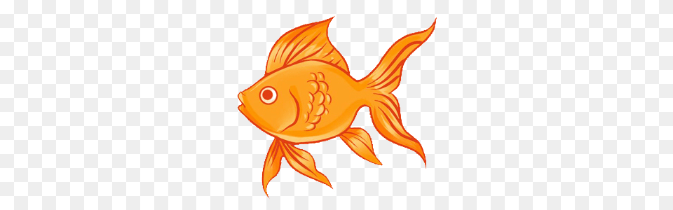Goldfish, Animal, Fish, Sea Life, Shark Png Image