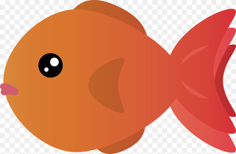 Goldfish, Animal, Sea Life, Fish Free Transparent Png