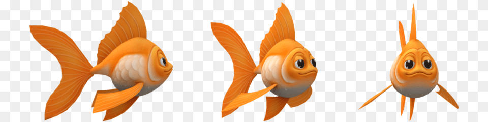 Goldfish, Animal, Fish, Sea Life Free Transparent Png